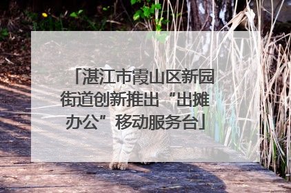 湛江市霞山区新园街道创新推出“出摊办公”移动服务台