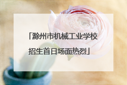 滁州市机械工业学校招生首日场面热烈