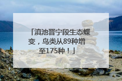滇池晋宁段生态蝶变，鸟类从89种增至175种！