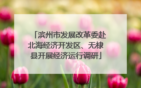 滨州市发展改革委赴北海经济开发区、无棣县开展经济运行调研