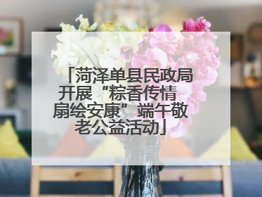 菏泽单县民政局开展“粽香传情 扇绘安康”端午敬老公益活动