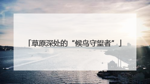 草原深处的“候鸟守望者”