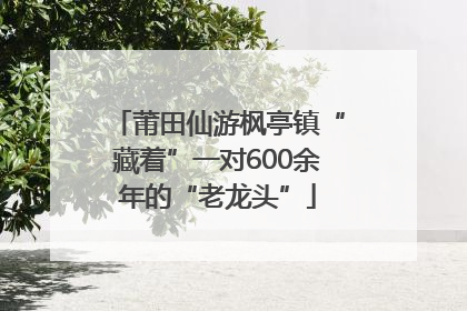莆田仙游枫亭镇“藏着”一对600余年的“老龙头”