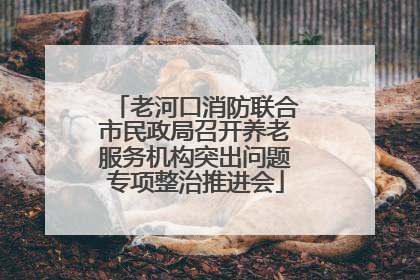 老河口消防联合市民政局召开养老服务机构突出问题专项整治推进会