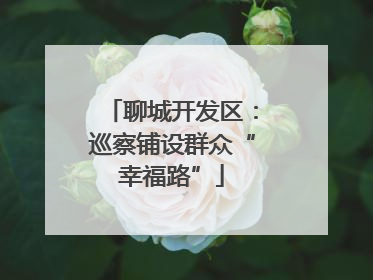 聊城开发区：巡察铺设群众“幸福路”