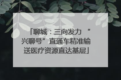 聊城：三向发力 “兴聊号”直通车精准输送医疗资源直达基层