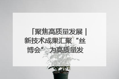 聚焦高质量发展｜新技术成果汇聚“丝博会” 为高质量发展注入新动能