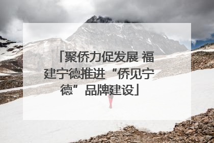 聚侨力促发展 福建宁德推进“侨见宁德”品牌建设