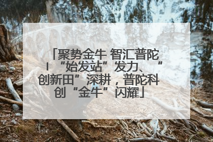 聚势金牛 智汇普陀〡“始发站”发力、“创新田”深耕，普陀科创“金牛”闪耀