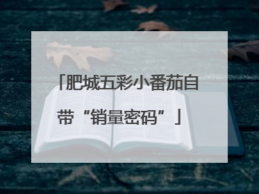 肥城五彩小番茄自带“销量密码”