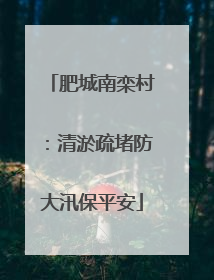 肥城南栾村：清淤疏堵防大汛保平安