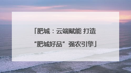 肥城：云端赋能 打造“肥城好品”强农引擎