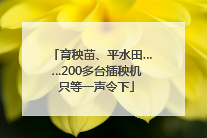 育秧苗、平水田……200多台插秧机只等一声令下