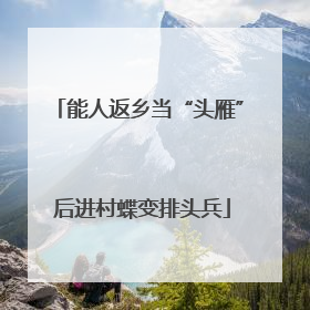 能人返乡当“头雁” 后进村蝶变排头兵