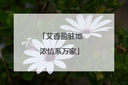 艾香盈驻地 浓情系万家