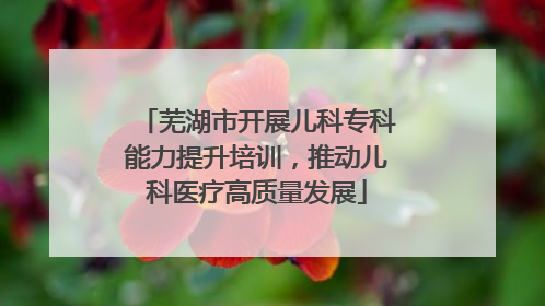 芜湖市开展儿科专科能力提升培训，推动儿科医疗高质量发展