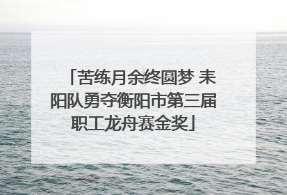 苦练月余终圆梦 耒阳队勇夺衡阳市第三届职工龙舟赛金奖