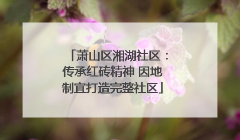 萧山区湘湖社区：传承红砖精神 因地制宜打造完整社区