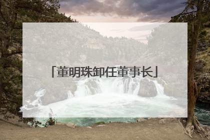 董明珠卸任董事长