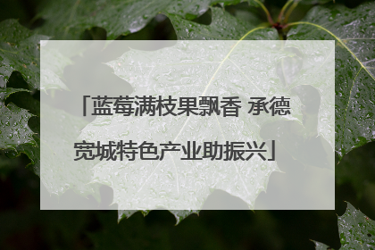 蓝莓满枝果飘香 承德宽城特色产业助振兴
