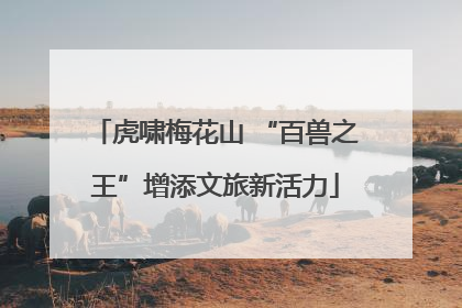 虎啸梅花山 “百兽之王”增添文旅新活力