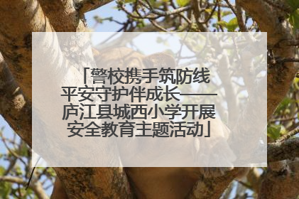 警校携手筑防线 平安守护伴成长——庐江县城西小学开展安全教育主题活动