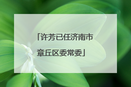 许芳已任济南市章丘区委常委