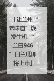 让兰州“老味道”焕发生机 “兰白946”白兰瓜即将上市