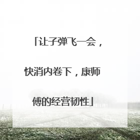 让子弹飞一会，快消内卷下，康师傅的经营韧性