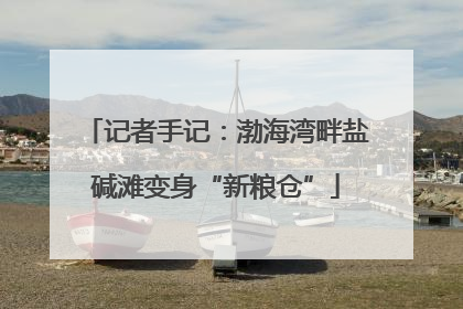 记者手记：渤海湾畔盐碱滩变身“新粮仓”
