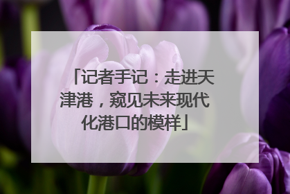 记者手记：走进天津港，窥见未来现代化港口的模样