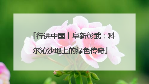 行进中国丨阜新彰武：科尔沁沙地上的绿色传奇