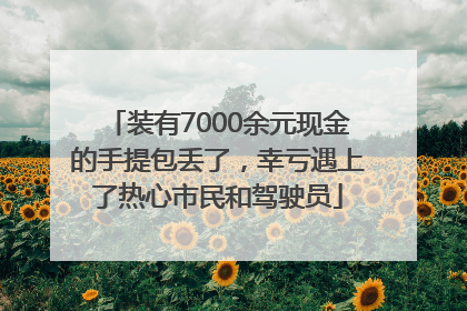 装有7000余元现金的手提包丢了，幸亏遇上了热心市民和驾驶员