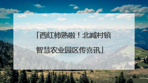 西红柿熟啦！北臧村镇智慧农业园区传喜讯