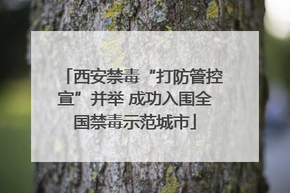 西安禁毒“打防管控宣”并举 成功入围全国禁毒示范城市