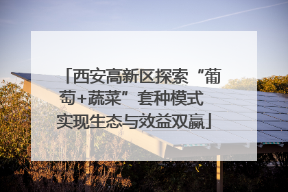 西安高新区探索“葡萄+蔬菜”套种模式 实现生态与效益双赢