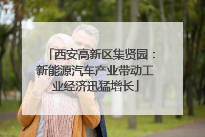 西安高新区集贤园：新能源汽车产业带动工业经济迅猛增长