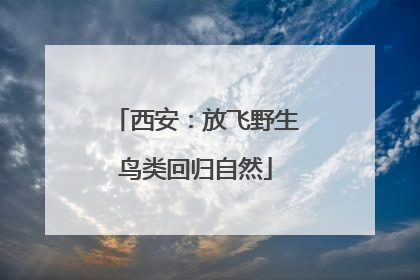 西安：放飞野生鸟类回归自然