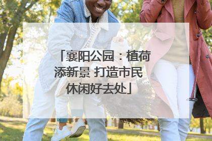 襄阳公园：植荷添新景 打造市民休闲好去处