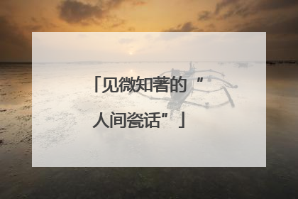 见微知著的“人间瓷话”