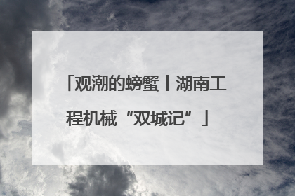 观潮的螃蟹丨湖南工程机械“双城记”