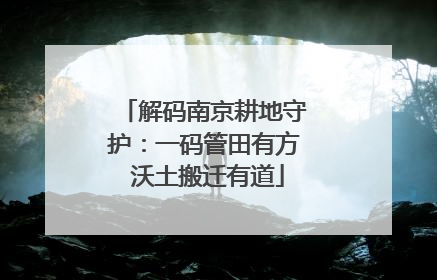 解码南京耕地守护：一码管田有方 沃土搬迁有道