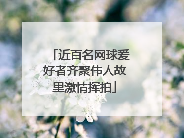 近百名网球爱好者齐聚伟人故里激情挥拍