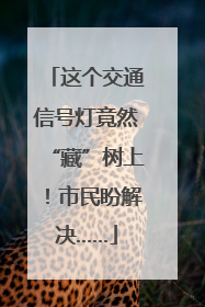 这个交通信号灯竟然“藏”树上！市民盼解决……