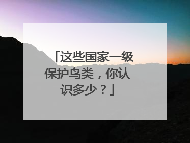 这些国家一级保护鸟类，你认识多少？