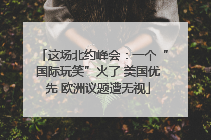 这场北约峰会：一个“国际玩笑”火了 美国优先 欧洲议题遭无视