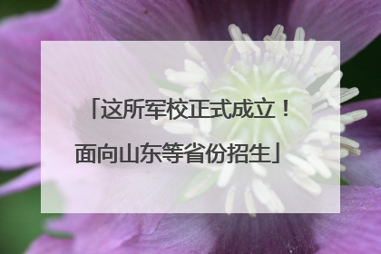 这所军校正式成立！面向山东等省份招生