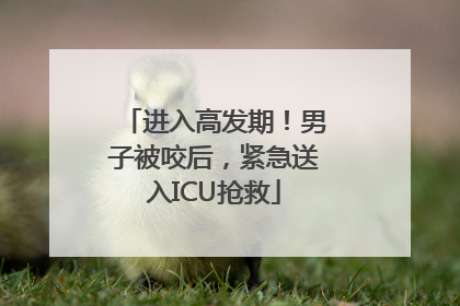 进入高发期！男子被咬后，紧急送入ICU抢救