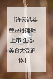 连云港头茬豆丹捕捉上市 生态美食大受追捧