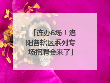 连办6场！洛阳各辖区系列专场招聘会来了